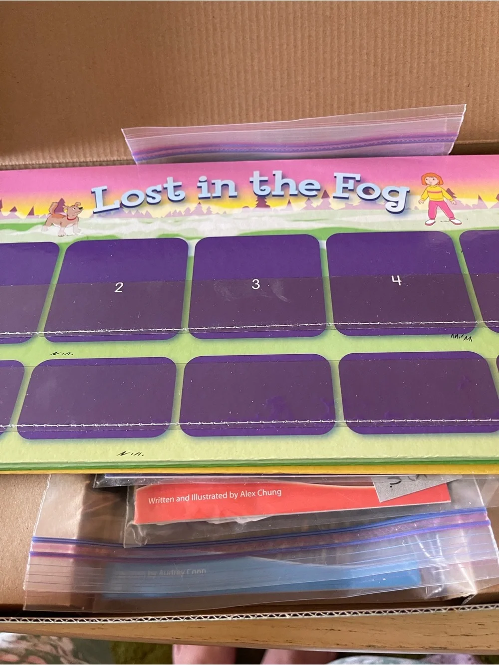 Lakeshore Sequencing Series Fiction Or Nonfiction